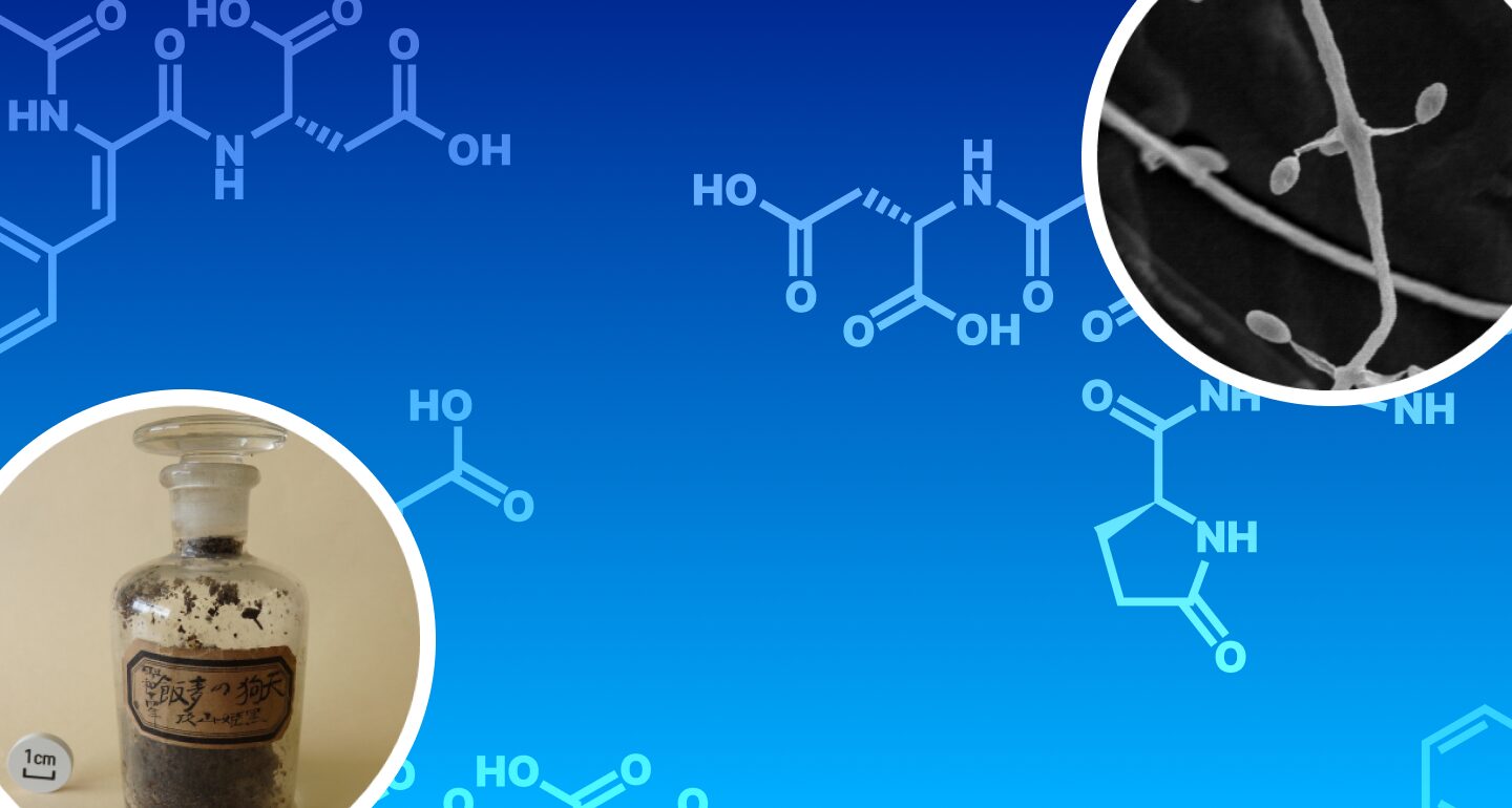 医薬資源化学研究室 | 北里大学大村智記念研究所 大学院感染制御科学府